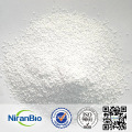 Dicalcium phosphate powder for feed